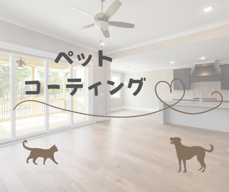 ペットコーティング🐕🐈 アイキャッチ画像