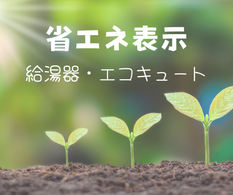 省エネ表示の見方✨ アイキャッチ画像